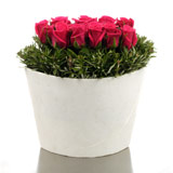 New Zealand For Her New Zealand,:Polystone Vase of Hot Pink Roses